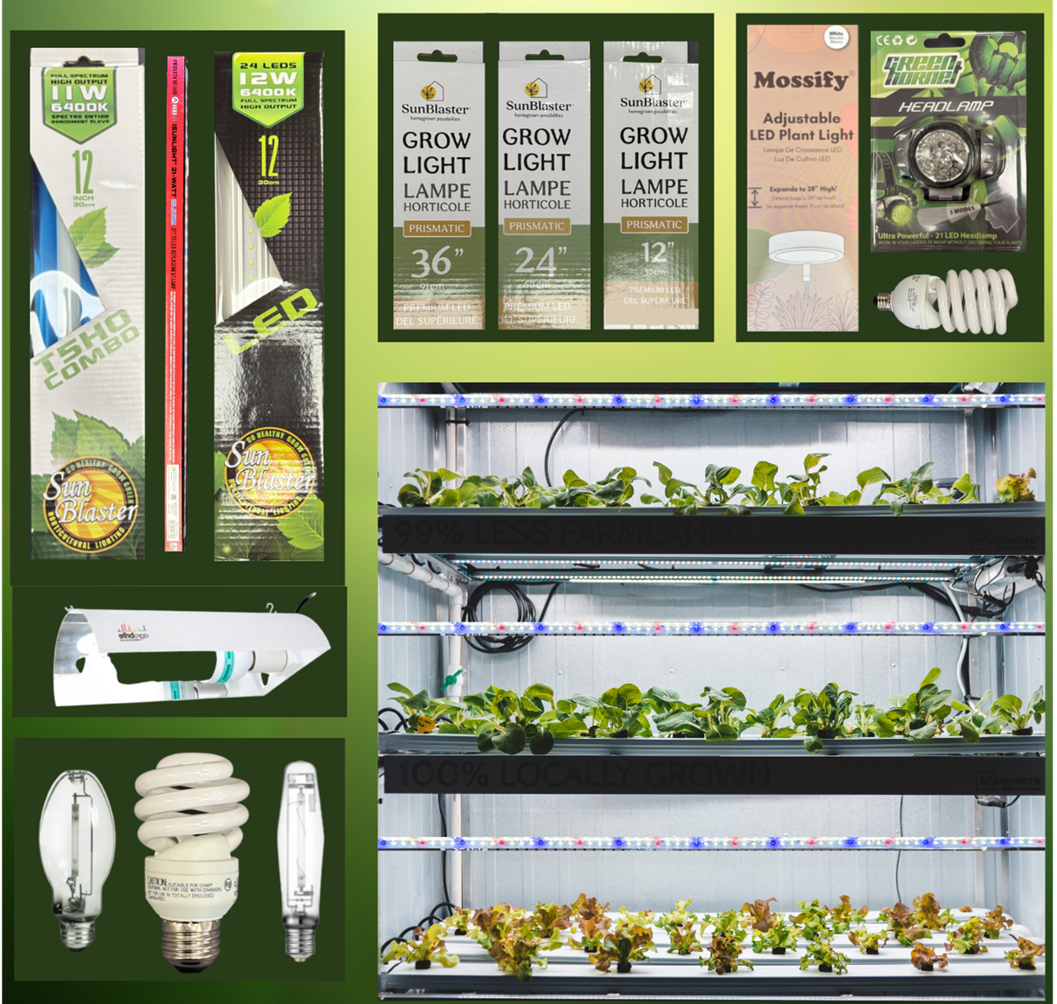 Indoor Growing - Lighting
