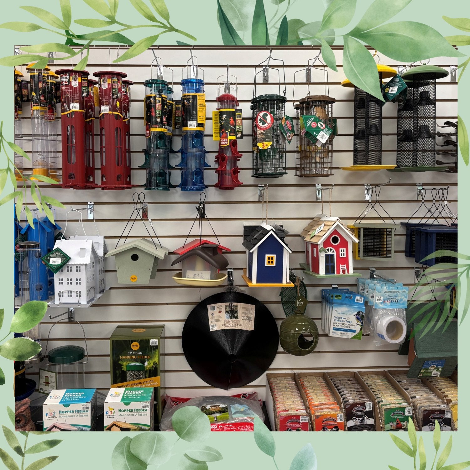 Bird Feeding Supplies