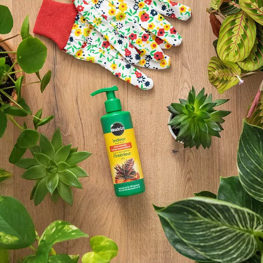 Indoor Plant Food 1-1-1
