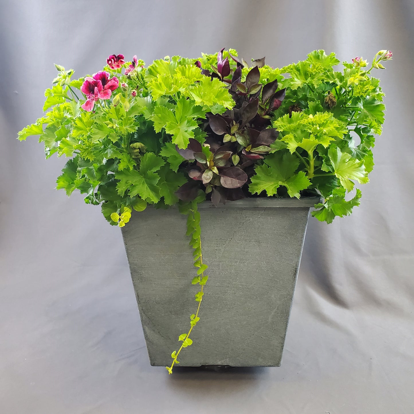 Spring Planters