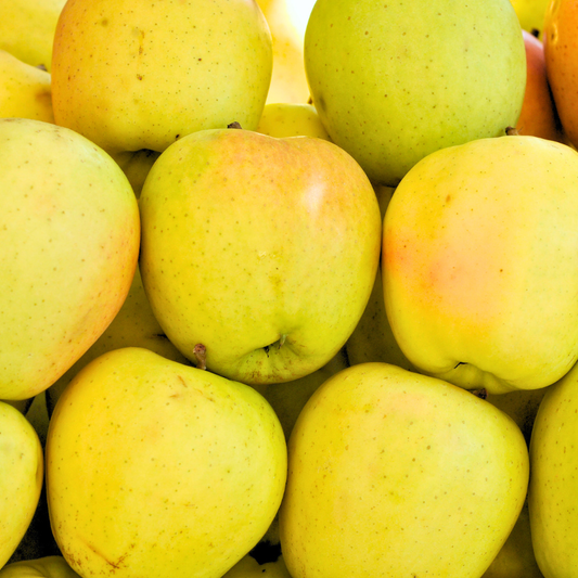 Apple ‘Ginger Gold’