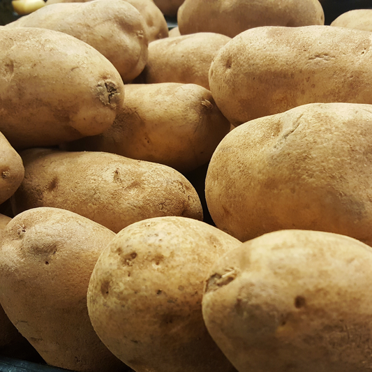 Potatoes Reveille Russet Seed