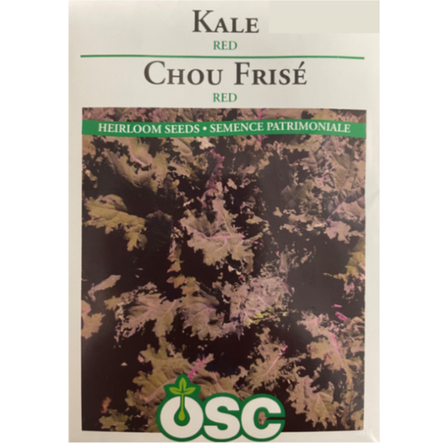 OSC Seeds Kale Red Pkg