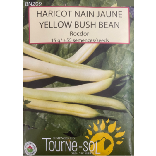 Tourne-Sol Bean Bush Rocdor Yellow Pkg