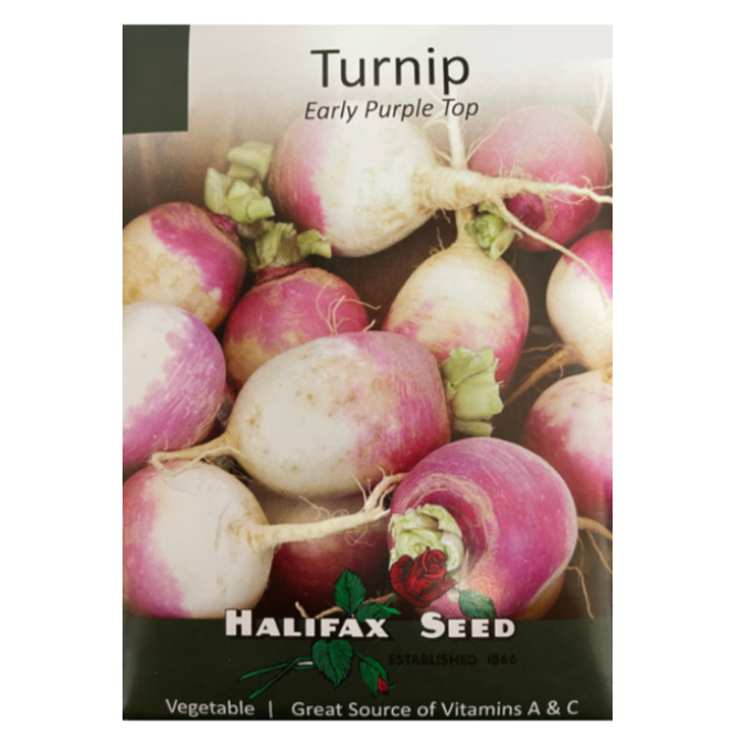 Halifax Seed Turnip Early Purple Top