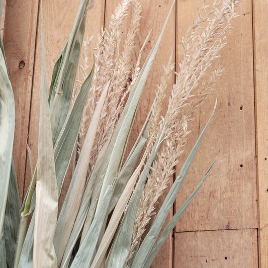 Corn Stalks Bundle