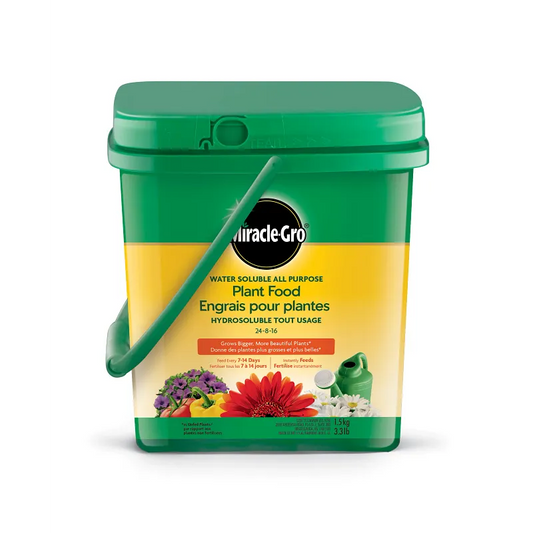 All Purpose Fertilizer 24-8-16