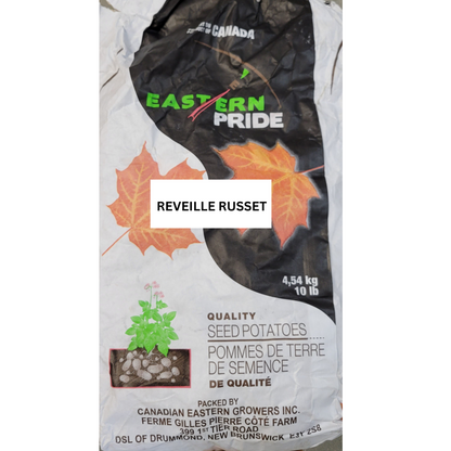 Potatoes Reveille Russet Seed