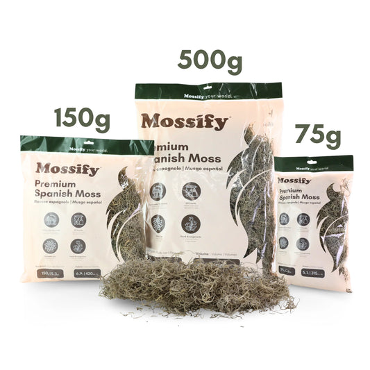 Premium Spanish Moss