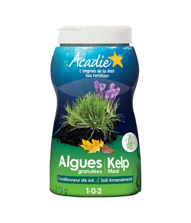 Kelp Meal