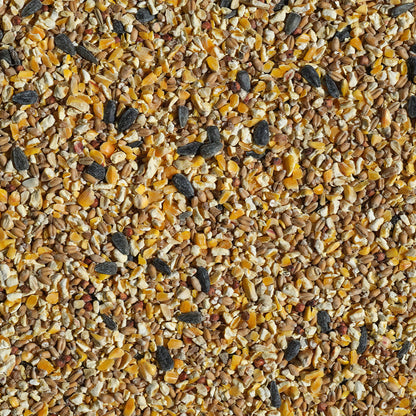 All Season Blend Bird Seed