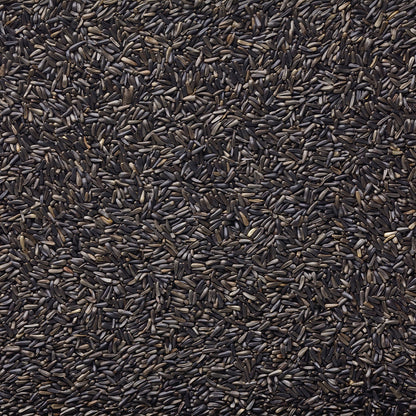 Nyjer Seed