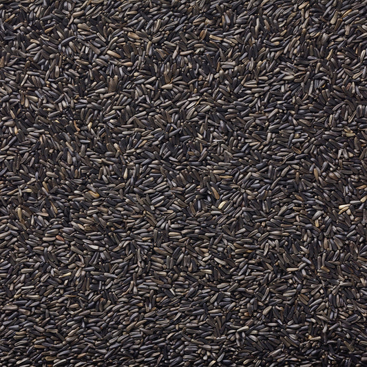 Nyjer Seed