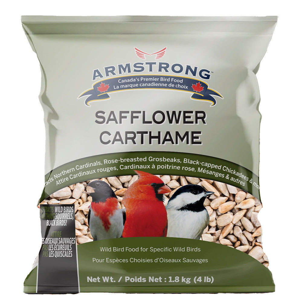 Safflower Seed