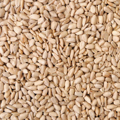 Safflower Seed