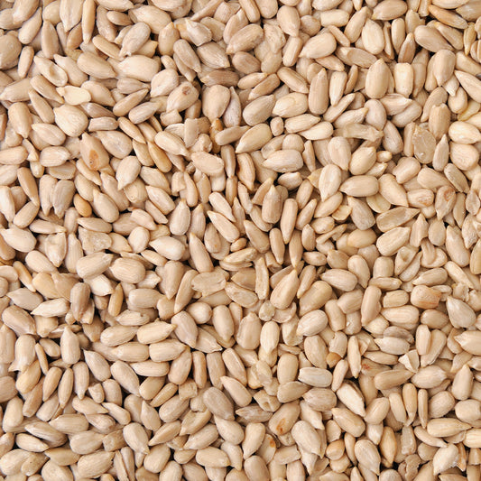 Safflower Seed