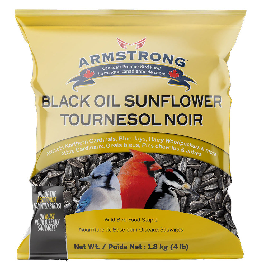 Black Oil Sunflower Seeds