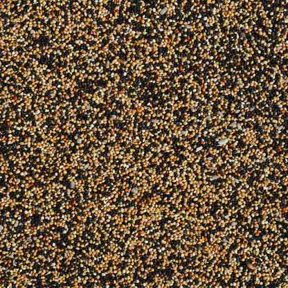 Favourite Finch Bird Food