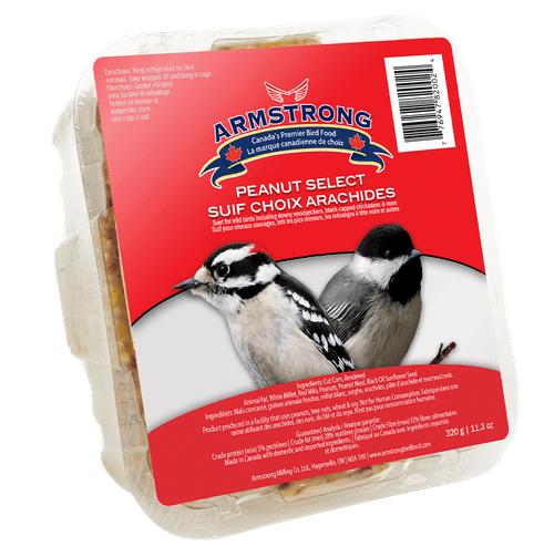 Peanut Select Suet