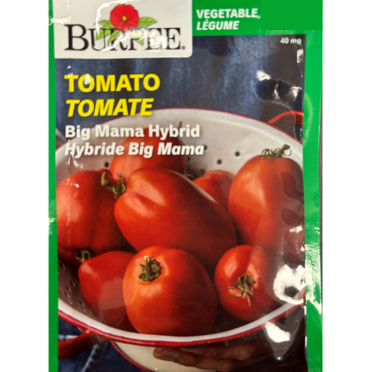Burpee Seeds Tomato Big Mama Hybrid
