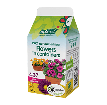 Flowers In Containers Fertilizer