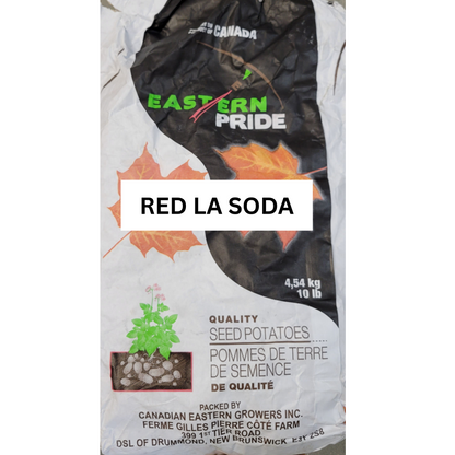 Potatoes Red La Soda