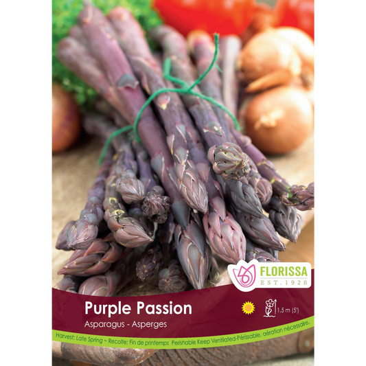 Asparagus Roots 'Purple Passion'