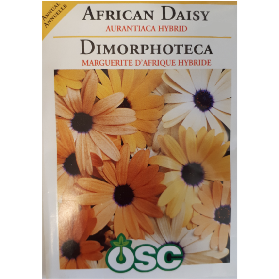OSC Seeds Daisy African Aurantiaca Hybrid Pkg