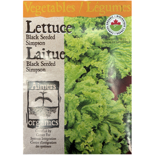 Aimers Organics Lettuce Black Seeded Simpson Pkg.