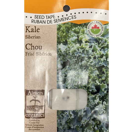 Aimers Organics Seed Tape Kale Siberian Pkg.
