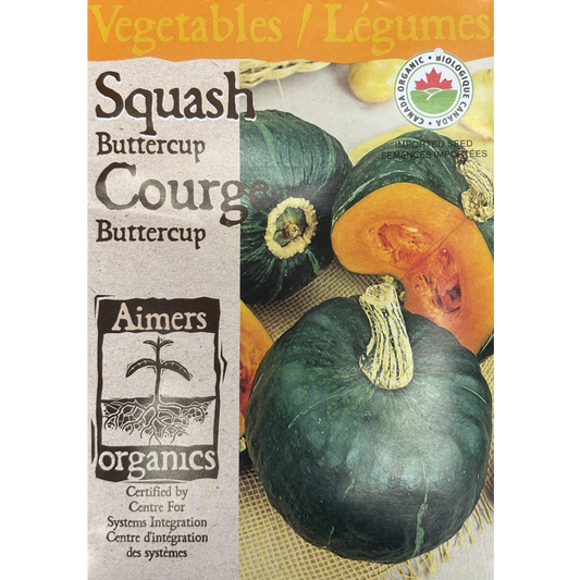 Aimers Organics Squash Buttercup Pkg.