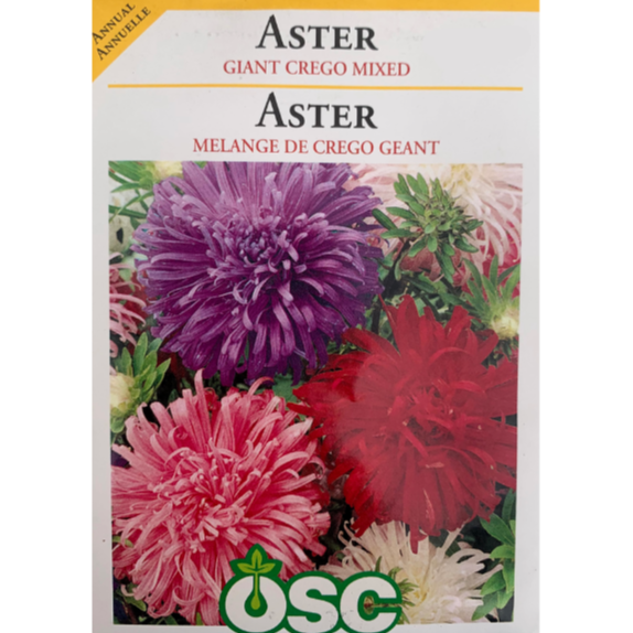 OSC Seeds Aster Giant Crego Mixed Pkg