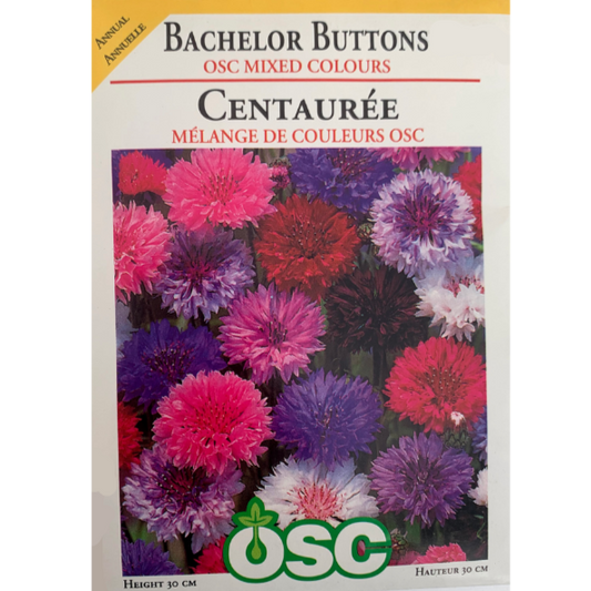 OSC Seeds Bachelor Buttons Mixed Colours Pkg