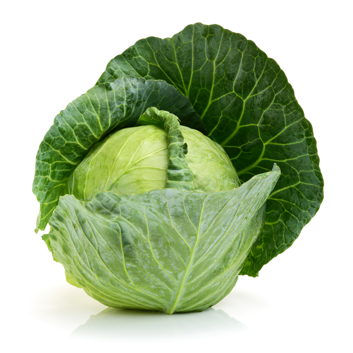 Cabbage 'Stonehead' (Early)