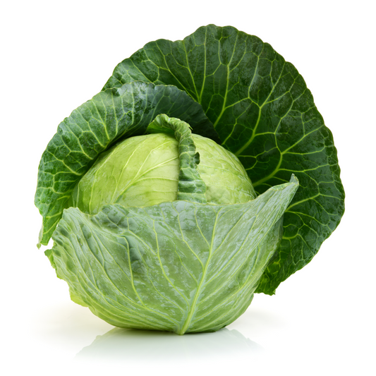 Cabbage 'Stonehead' (Early)