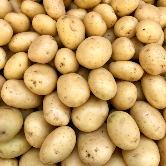 Potatoes Canada Gold Seed