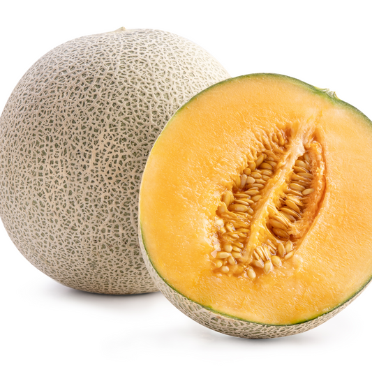 Melon Cantaloupe 'Muskmelon'