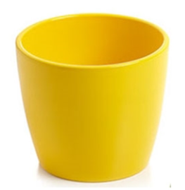 Marlow Pot