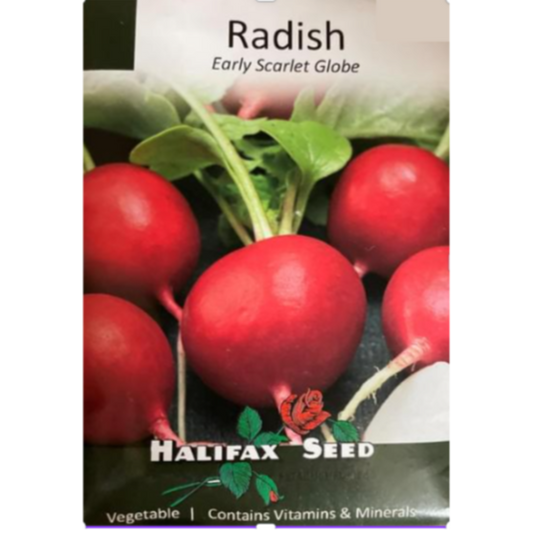 Halifax Seed Radish Early Scarlet Globe Pkg.