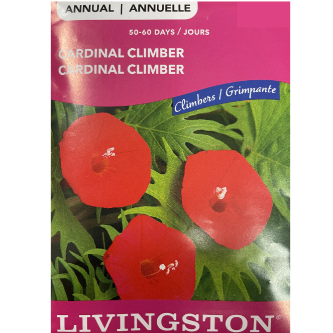 Livingston Seeds Cardinal Climber Pkg
