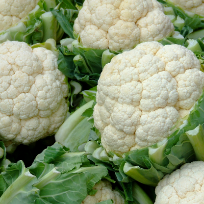 Cauliflower 'Snow Crown'