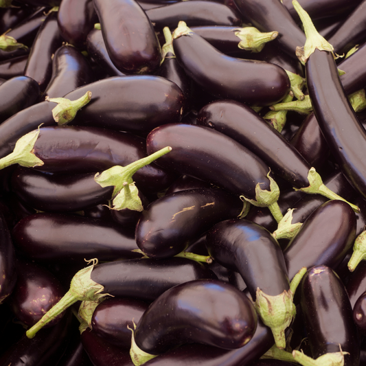 Eggplant 'Classic'