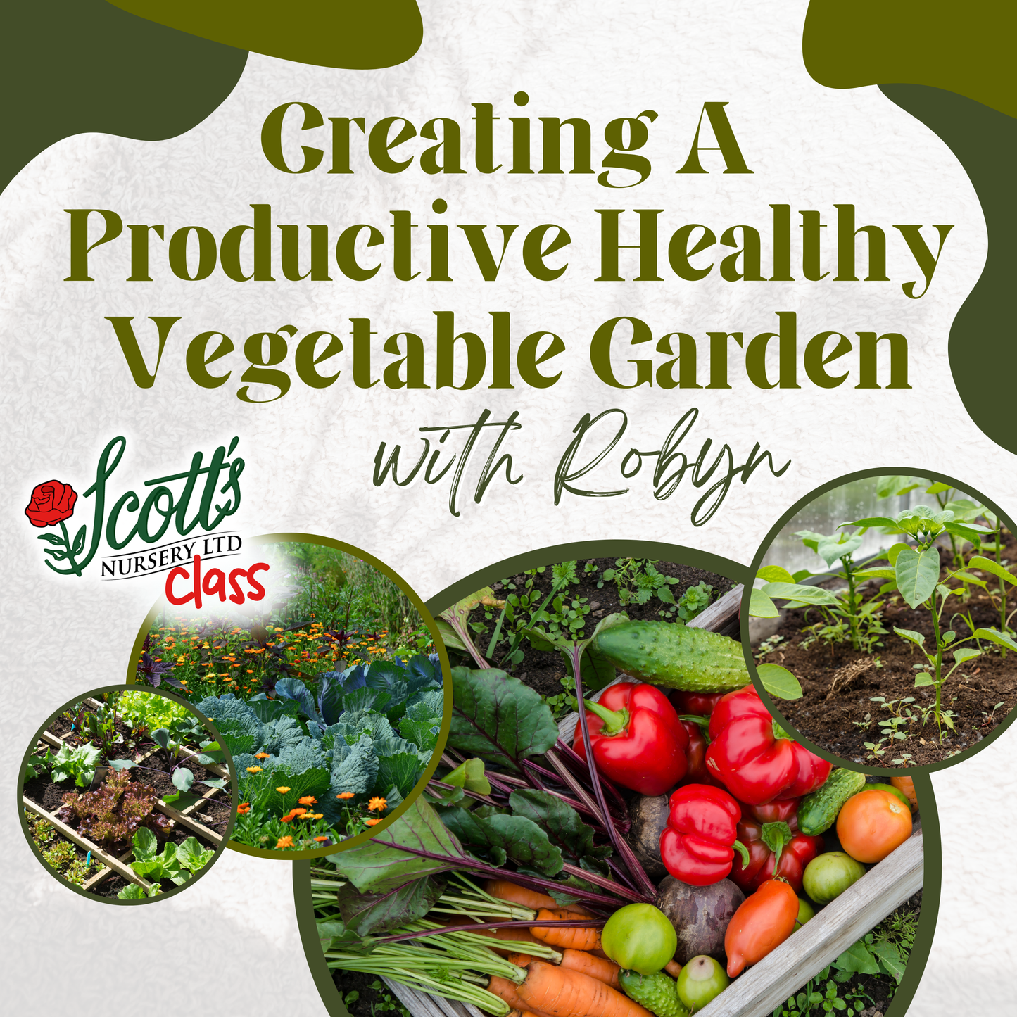 Creating a Productive & Healthy Vegetable Garden