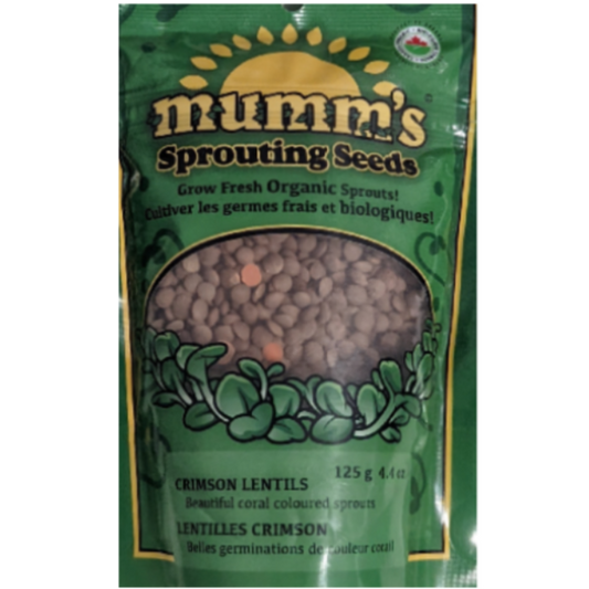 Mumm's Sprouts Crimson Lentils