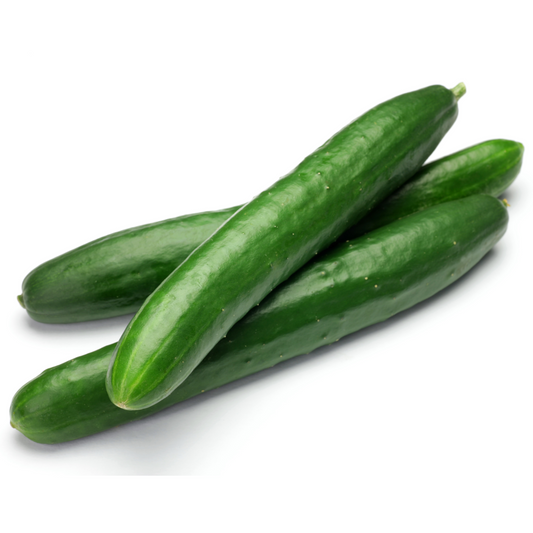 Cucumber 'Carmen'