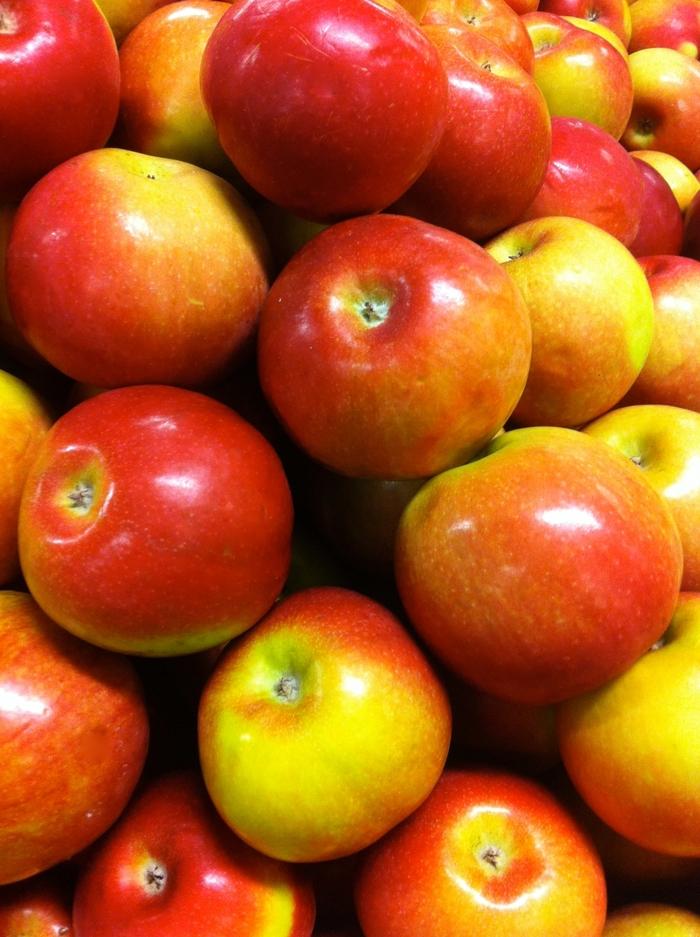Fruit Profile