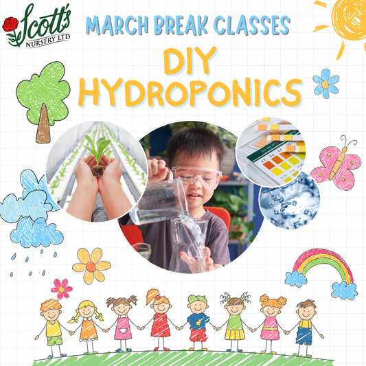 DIY Hydroponics