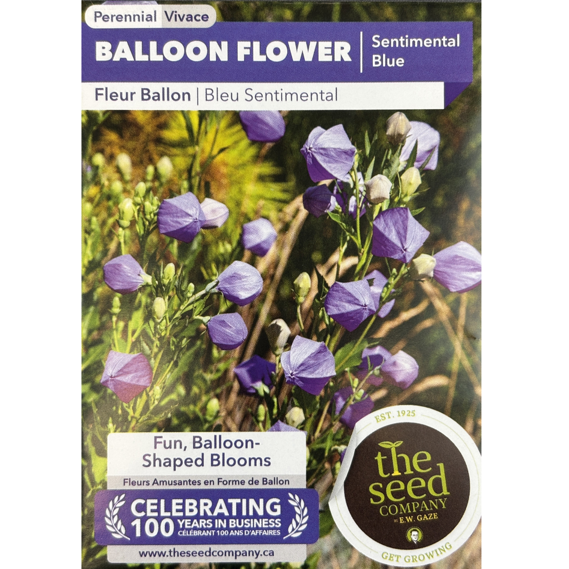 E.W. Gaze Balloon Flower Sentimental Blue Pkg.