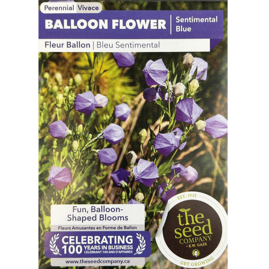 E.W. Gaze Balloon Flower Sentimental Blue Pkg.