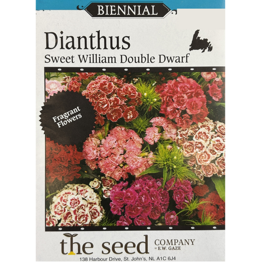 E.W. Gaze Dianthus Sweet William Double Pkg.